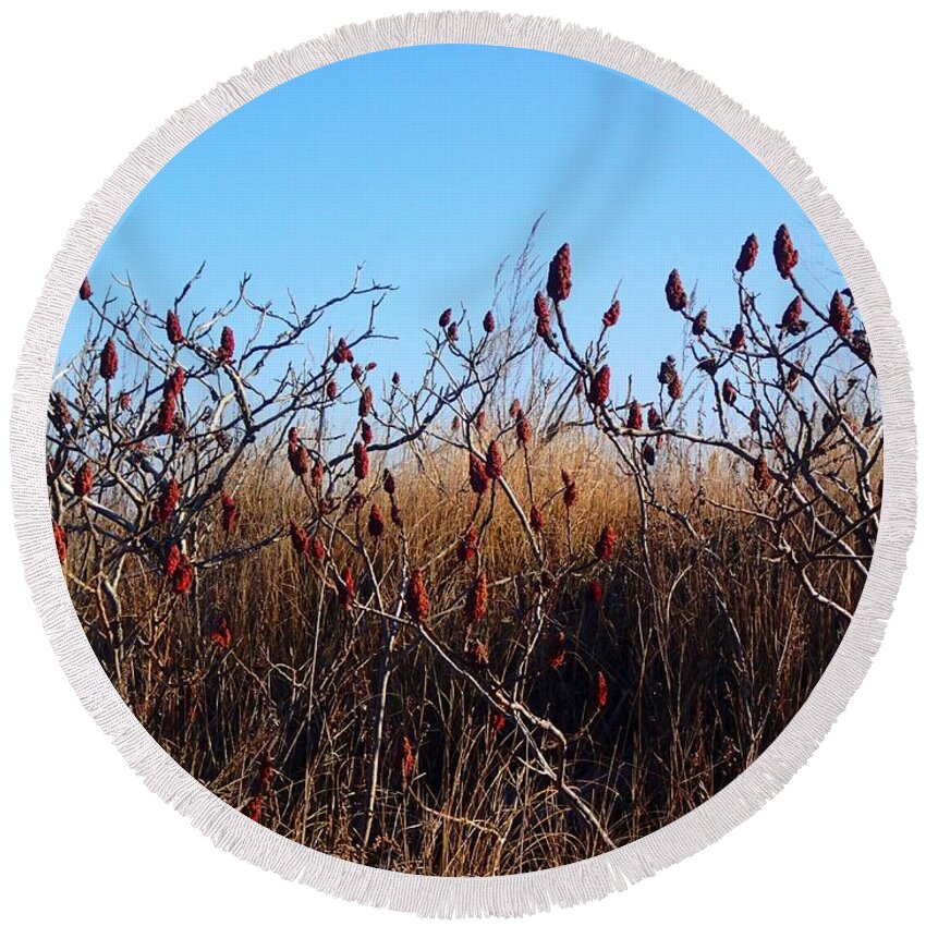 Sumac Round Beach Towel featuring the photograph Sumac at the Beach by Lois Lepisto