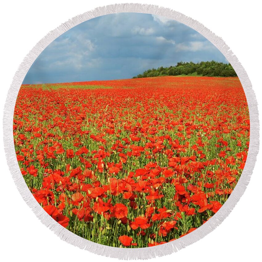 Landscape Round Beach Towel featuring the photograph Summer Poppies in England by David Birchall