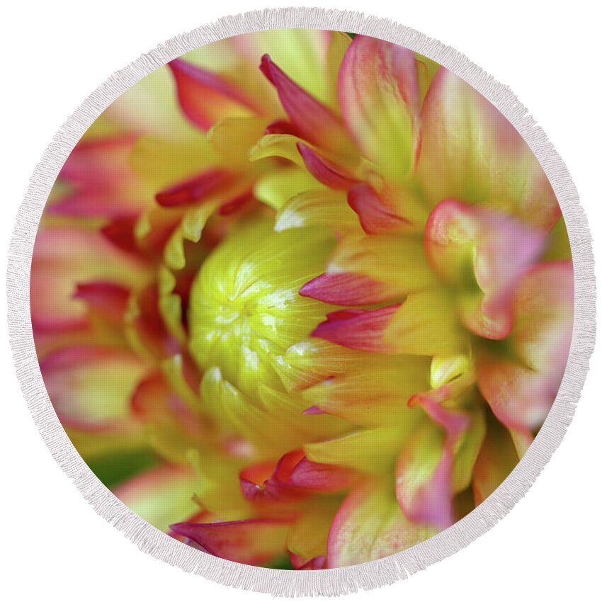 Flower Round Beach Towel featuring the photograph Summer Splendor by Mary Anne Delgado