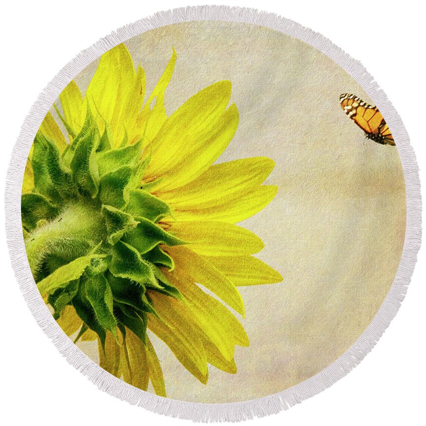 Sunflower Round Beach Towel featuring the photograph Summer Sun by Cathy Kovarik
