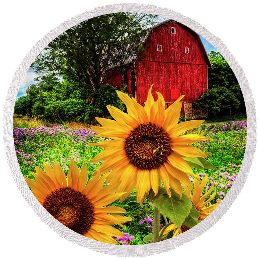 Sunflowers Round Beach Towel featuring the photograph Summertime Fields by Debra and Dave Vanderlaan