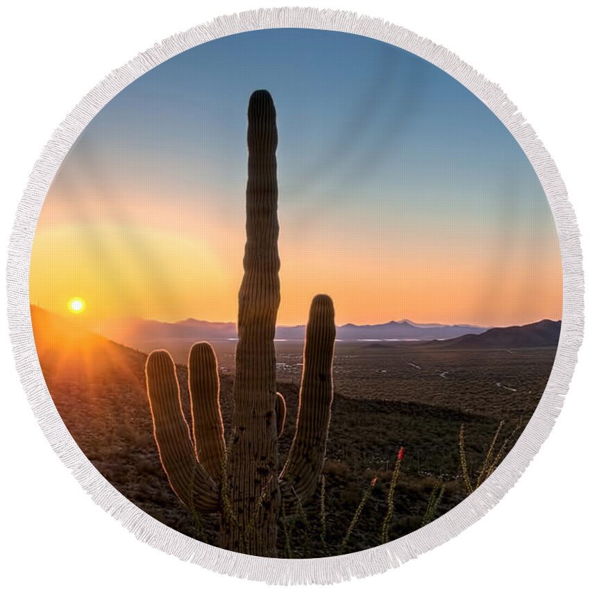 Arizona Round Beach Towel featuring the photograph Sun Lit Cactus by Maria Coulson