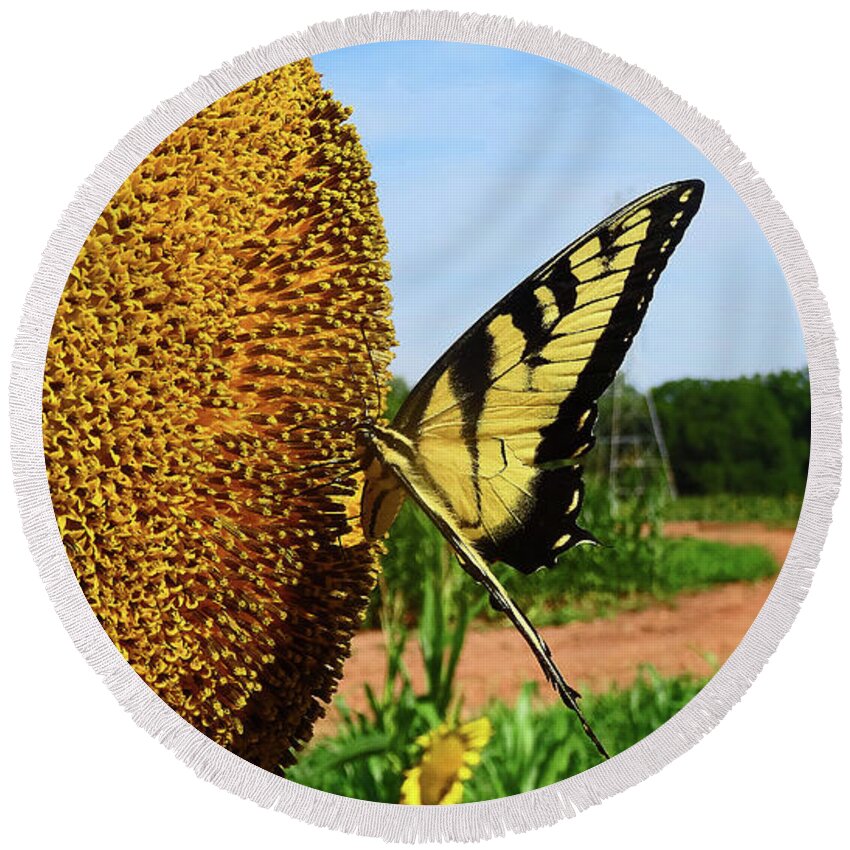 Sunflowers Round Beach Towel featuring the photograph The Sunflower and the Butterfly by Eunice Warfel