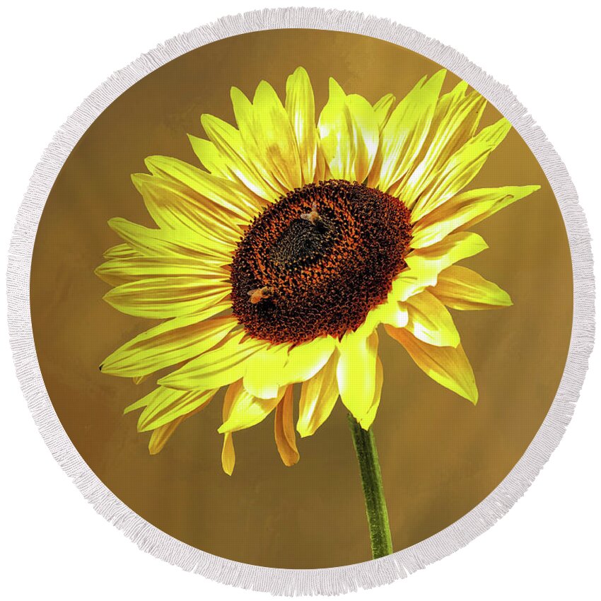 Texture Round Beach Towel featuring the photograph Sunflower Salute by Steph Gabler