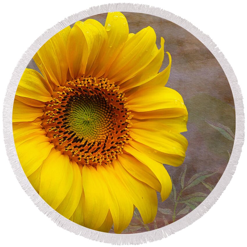 Painterly Round Beach Towel featuring the photograph Sunflower Serenade by Nina Silver