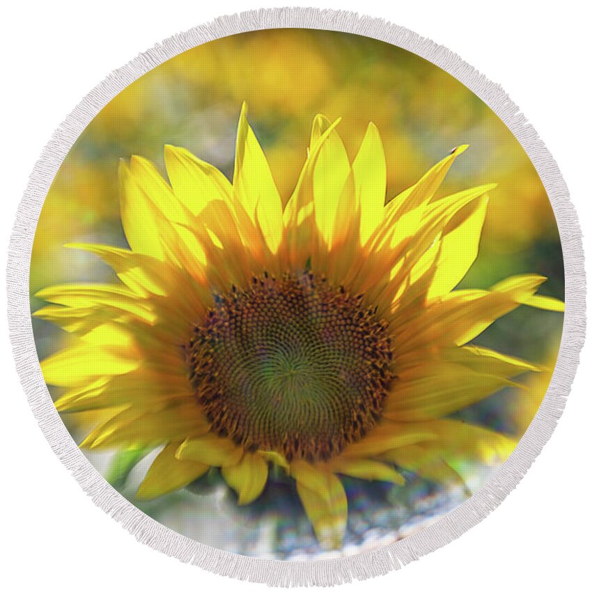 Flower Round Beach Towel featuring the photograph Sunflower with Lens Flare by Natalie Rotman Cote