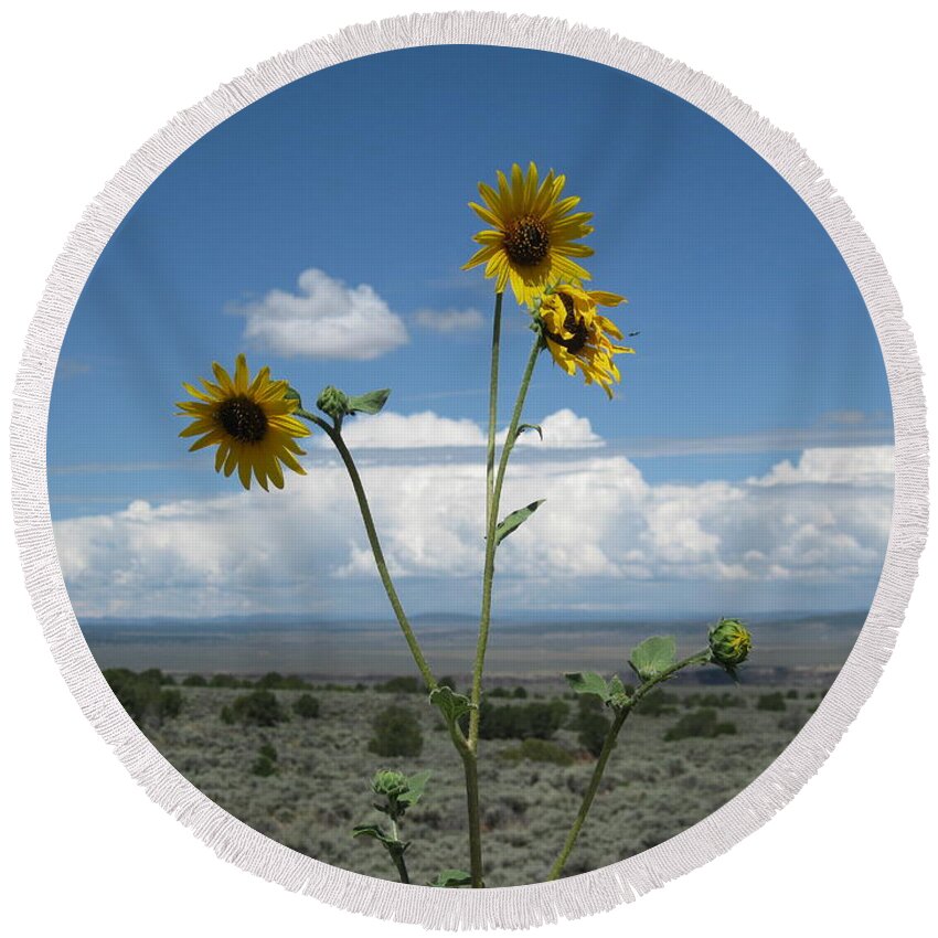  Round Beach Towel featuring the photograph Sunflowers on the Gorge by Ron Monsour