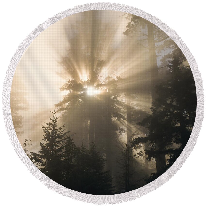 Fog Round Beach Towel featuring the photograph Sunlight and Fog by Robert Potts