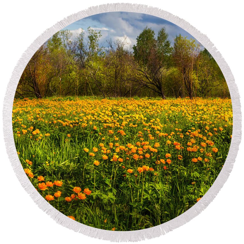 Buttercup Round Beach Towel featuring the photograph Sunny Buttercups Field. Altai by Victor Kovchin