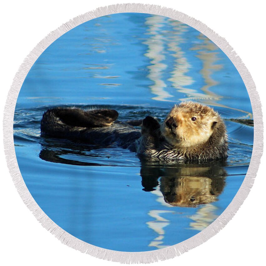 Sea Round Beach Towel featuring the photograph Sunny Faced Sea Otter by Deana Glenz