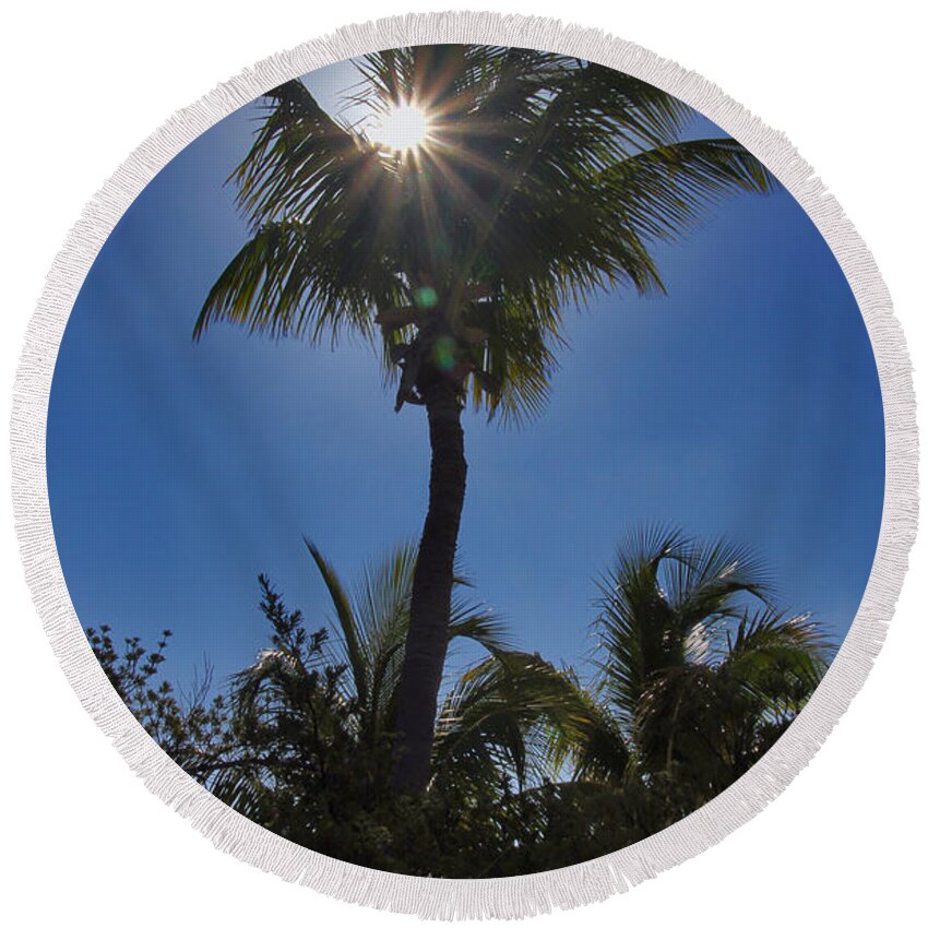 Nature Round Beach Towel featuring the photograph Sunny Palm by Bob Slitzan