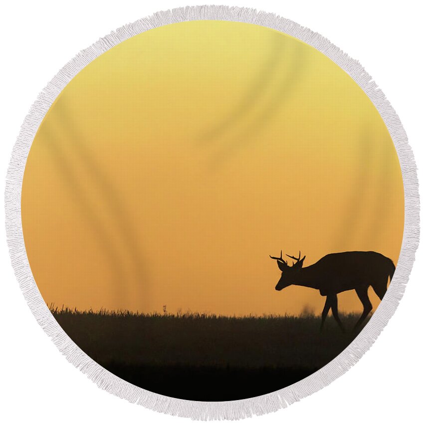 Silhouette Round Beach Towel featuring the photograph Sunrise Deer by Bill Wakeley