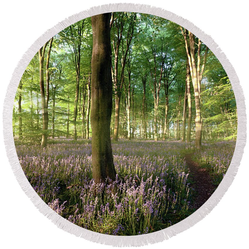 Norfolk Round Beach Towel featuring the photograph Sunrise in Norfolk bluebell forest with little path by Simon Bratt