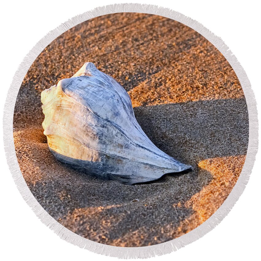 Shells Round Beach Towel featuring the photograph Sunrise Seashell by Allan Levin