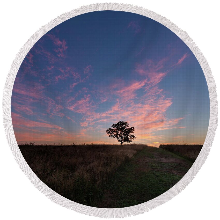 Square Round Beach Towel featuring the photograph Sunrise Tree 2016 square by Bill Wakeley