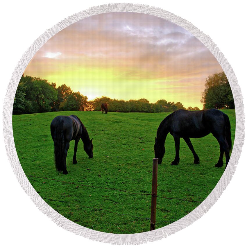 Belgium Round Beach Towel featuring the photograph Sunset horses by Ingrid Dendievel