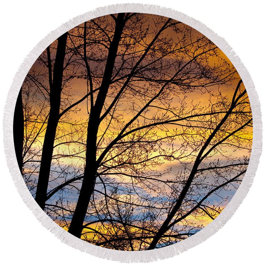 Canvas Print Round Beach Towel featuring the photograph Sunset Tree Silhouette by James BO Insogna