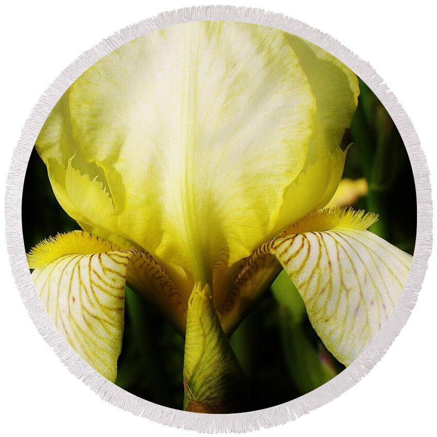 Flora Round Beach Towel featuring the photograph Sunshine Iris in the Graden by Bruce Bley