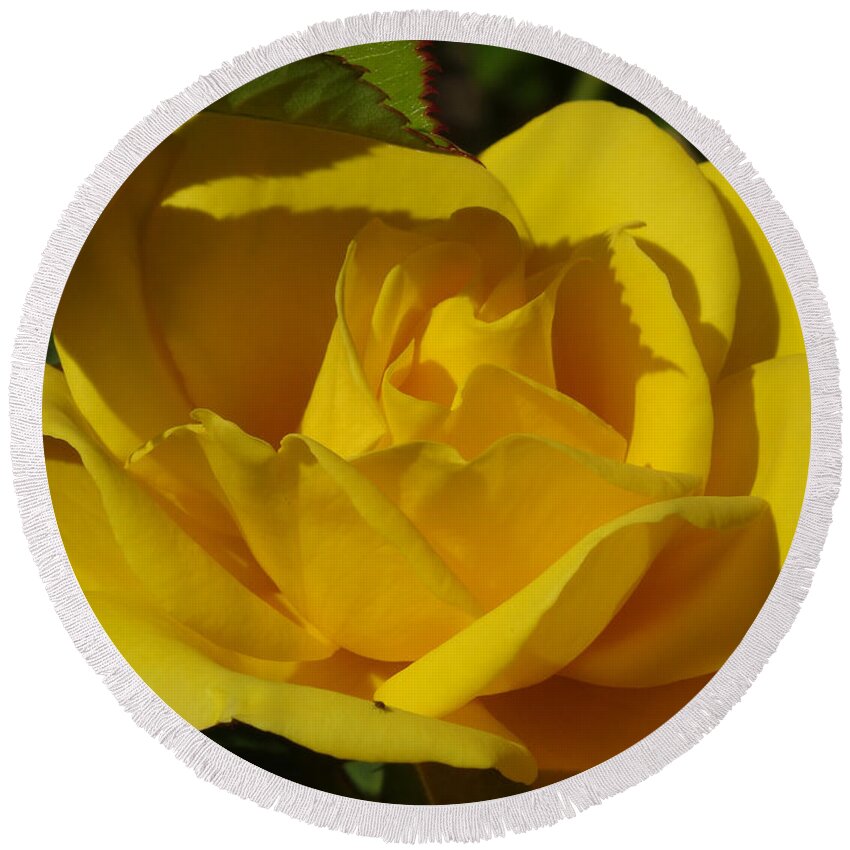 Yellow Rose Round Beach Towel featuring the mixed media Sunshine Rose by Richard Laeton