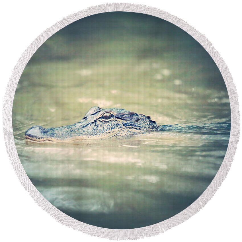 Gator Round Beach Towel featuring the photograph Swamp Gator Blues by Carol Groenen