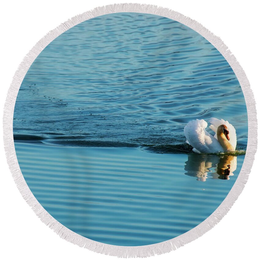 Swan Round Beach Towel featuring the photograph Swan at Full Speed by David Arment