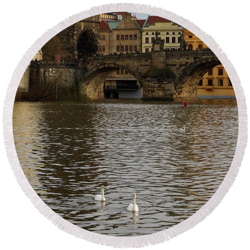 Finland Round Beach Towel featuring the photograph Swans By the Vltava. Prague spring 2017 by Jouko Lehto