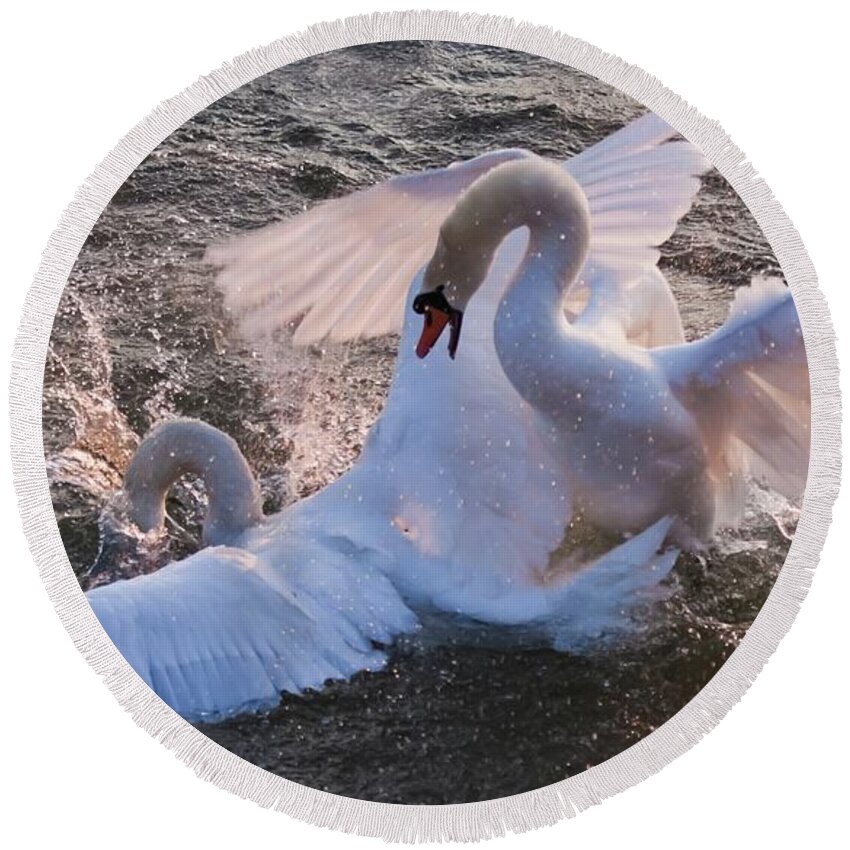 Swans Round Beach Towel featuring the photograph Nuptial Dance 3 by Tatiana Travelways
