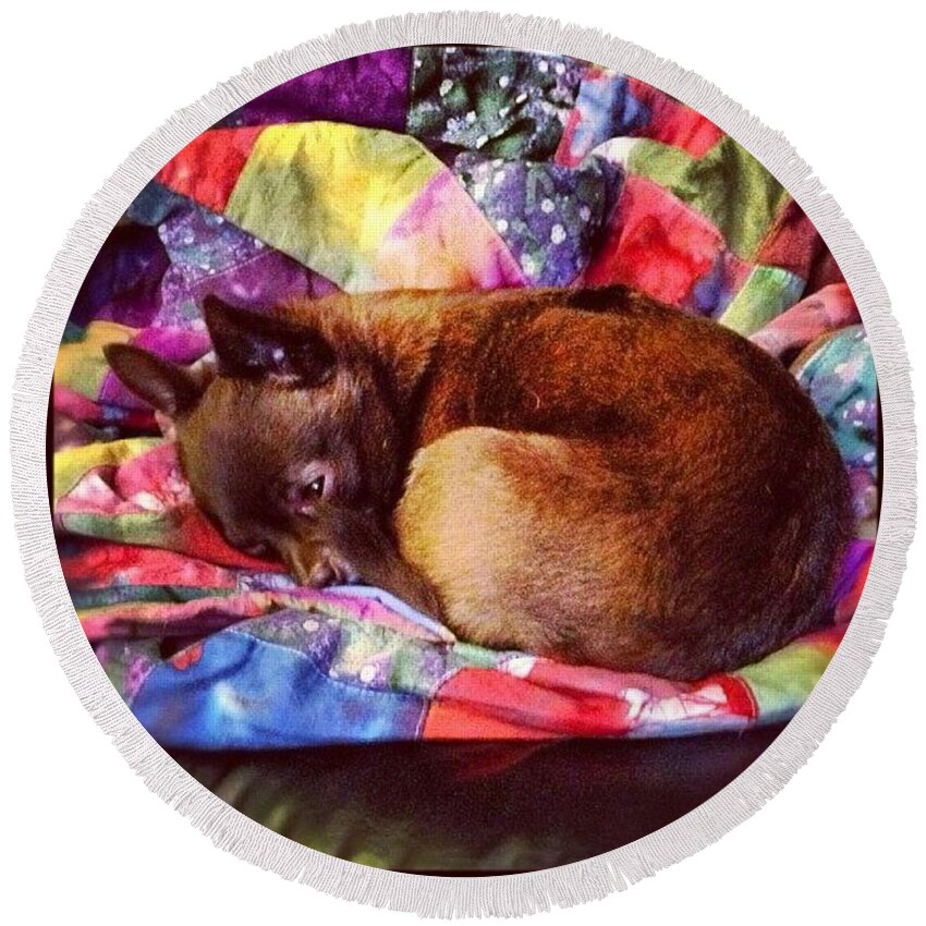 Dreams Round Beach Towel featuring the photograph Sweet Dreams Are Made Of These by Nick Heap