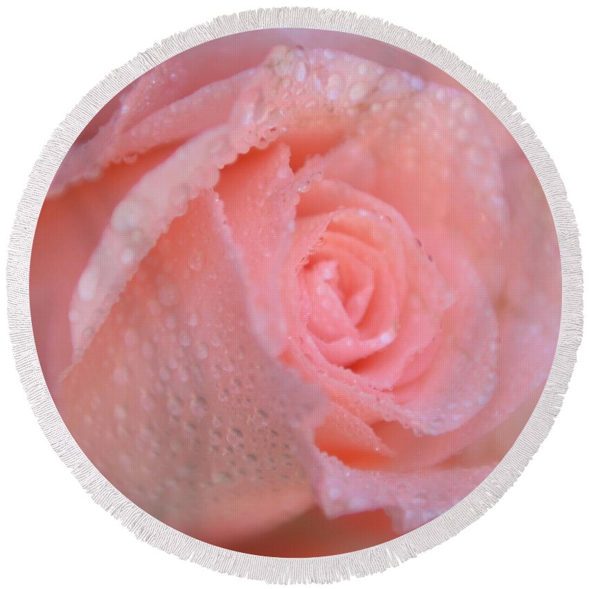 Pink Rose Round Beach Towel featuring the photograph Sweet Memories in Pink by Olga Hamilton