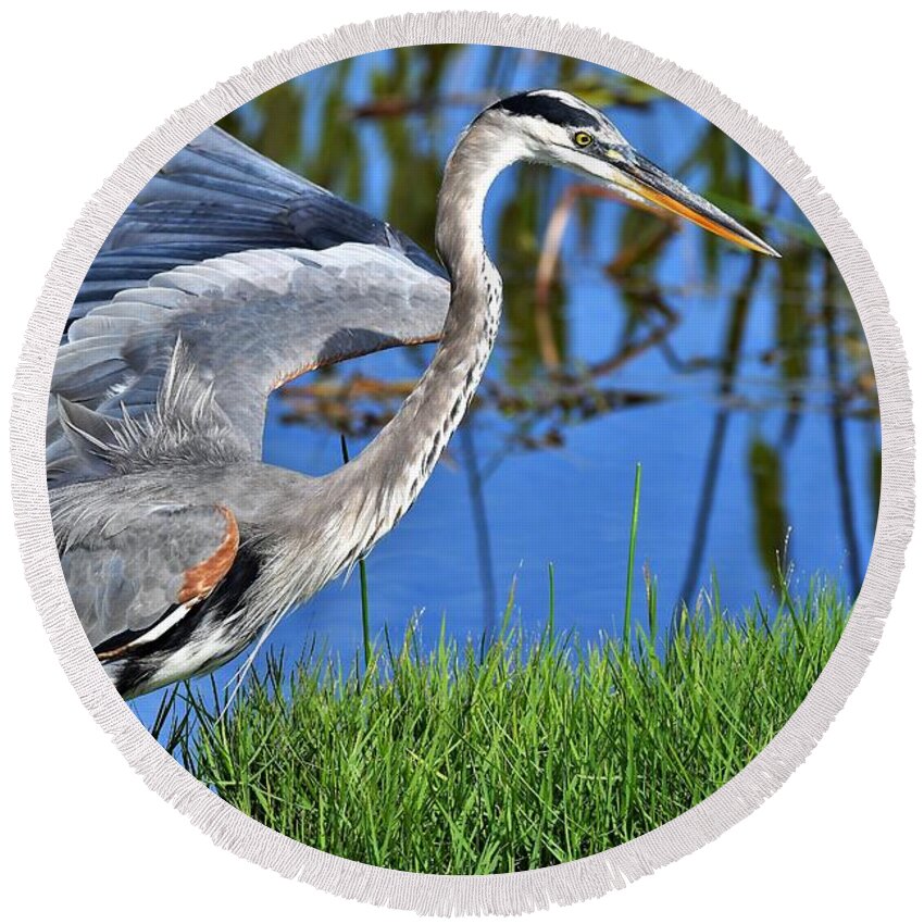 Great Blue Heron Round Beach Towel featuring the photograph Taking A Stroll by Julie Adair