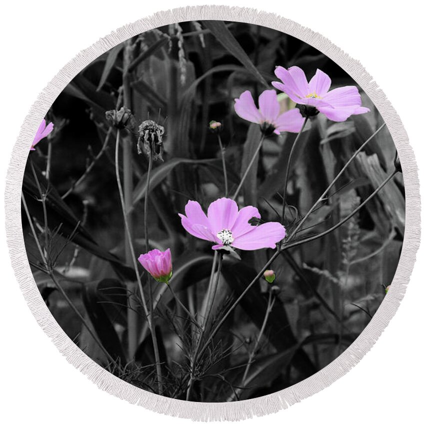 Pink Round Beach Towel featuring the photograph Tall Pink Poppies by April Burton