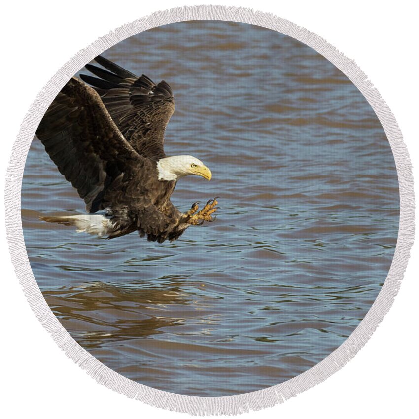 Eagle Round Beach Towel featuring the photograph Talons Ready by Art Cole
