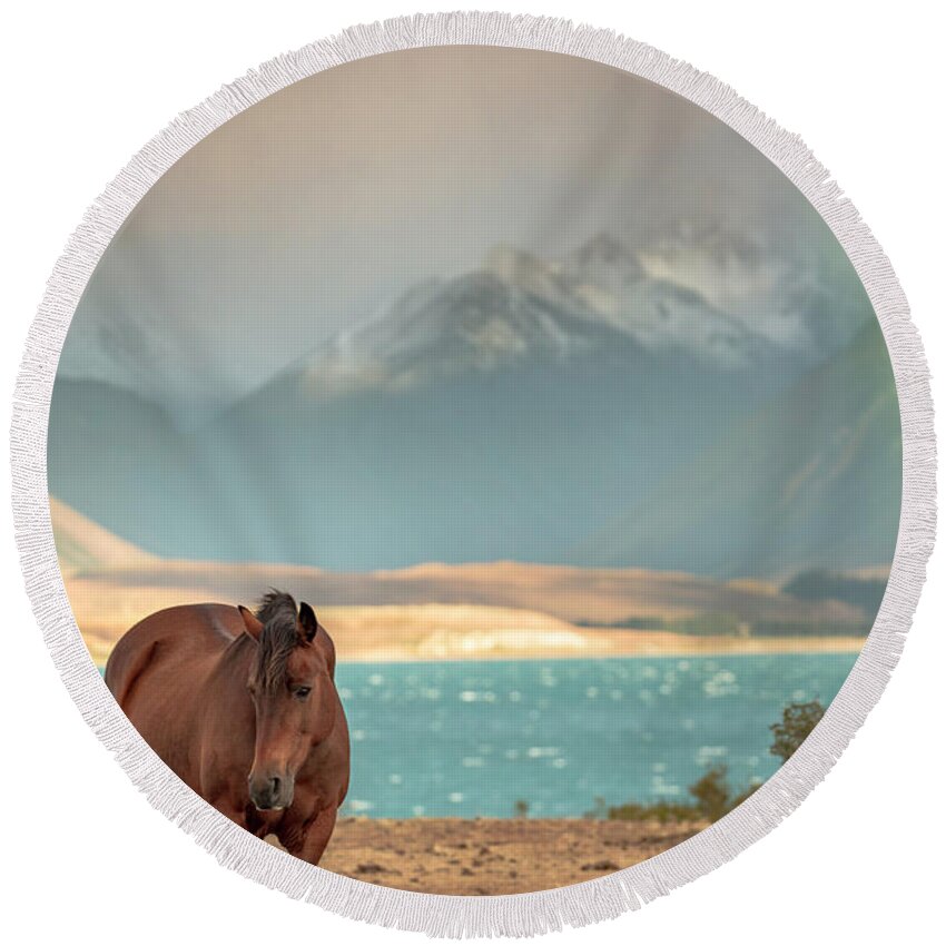New Zealand Round Beach Towel featuring the photograph Tekapo Horse by Chris Cousins