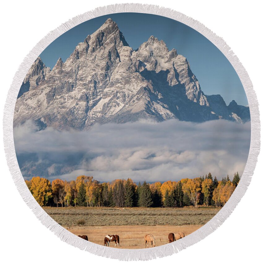 Horses Round Beach Towel featuring the photograph Teton Horses by Wesley Aston