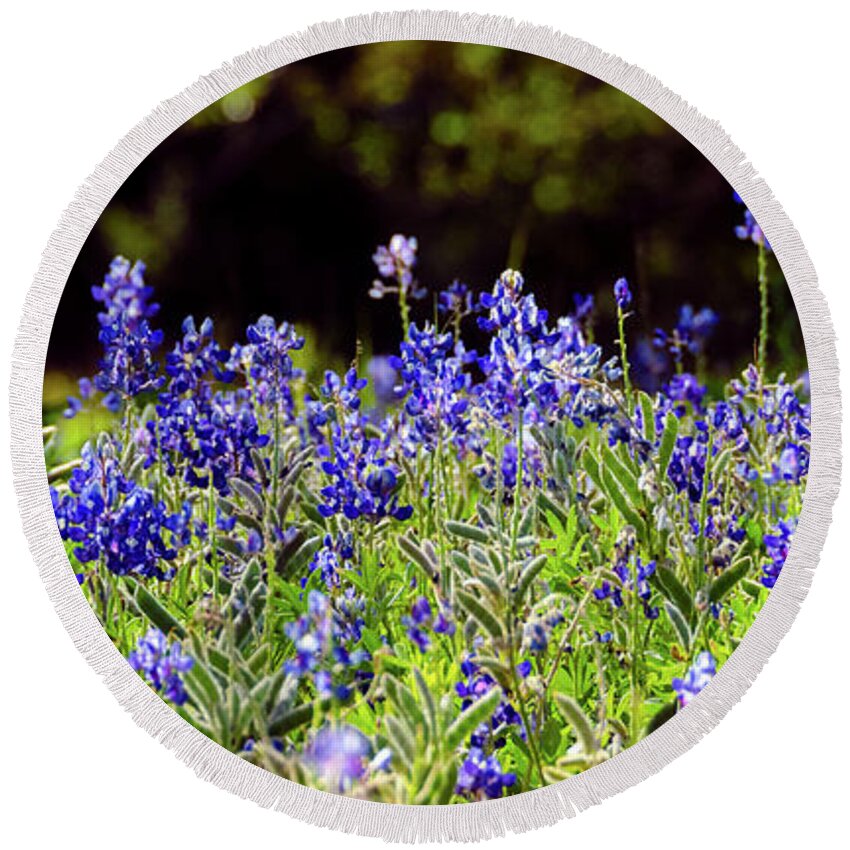 Texas Round Beach Towel featuring the photograph Texas Bluebonnets III by Greg Reed