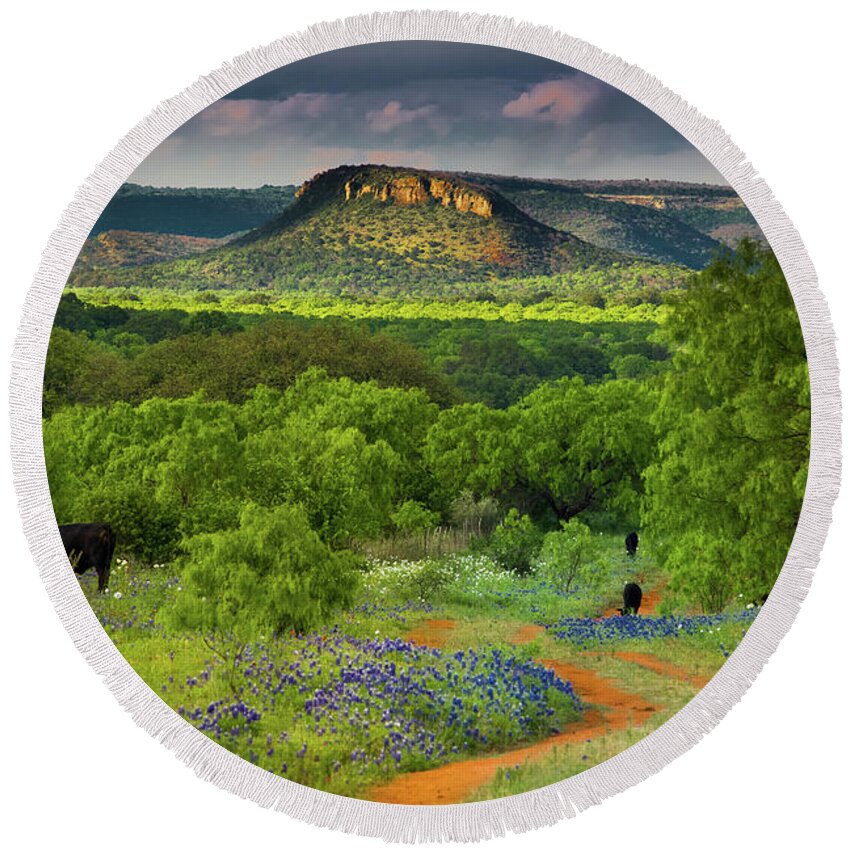Texas Round Beach Towel featuring the photograph Texas Hill Country Ranch Road by Darryl Dalton