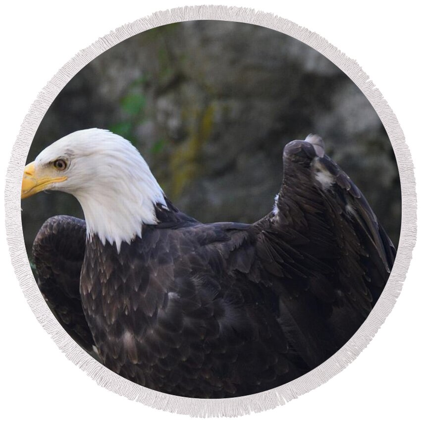 Birds Round Beach Towel featuring the photograph The Bald Eagle by Charles HALL