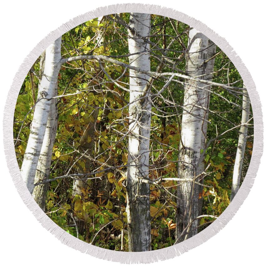  Round Beach Towel featuring the photograph The Birches by Kimberly Mackowski