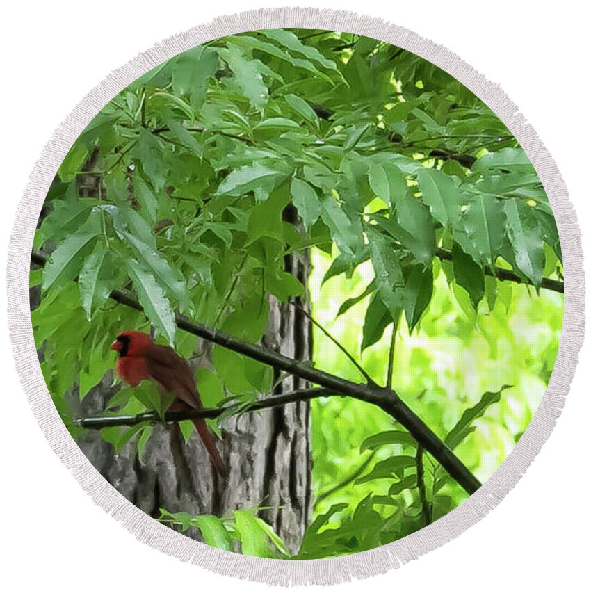 Bird Round Beach Towel featuring the digital art The Cardinal in the Woods by Ed Stines
