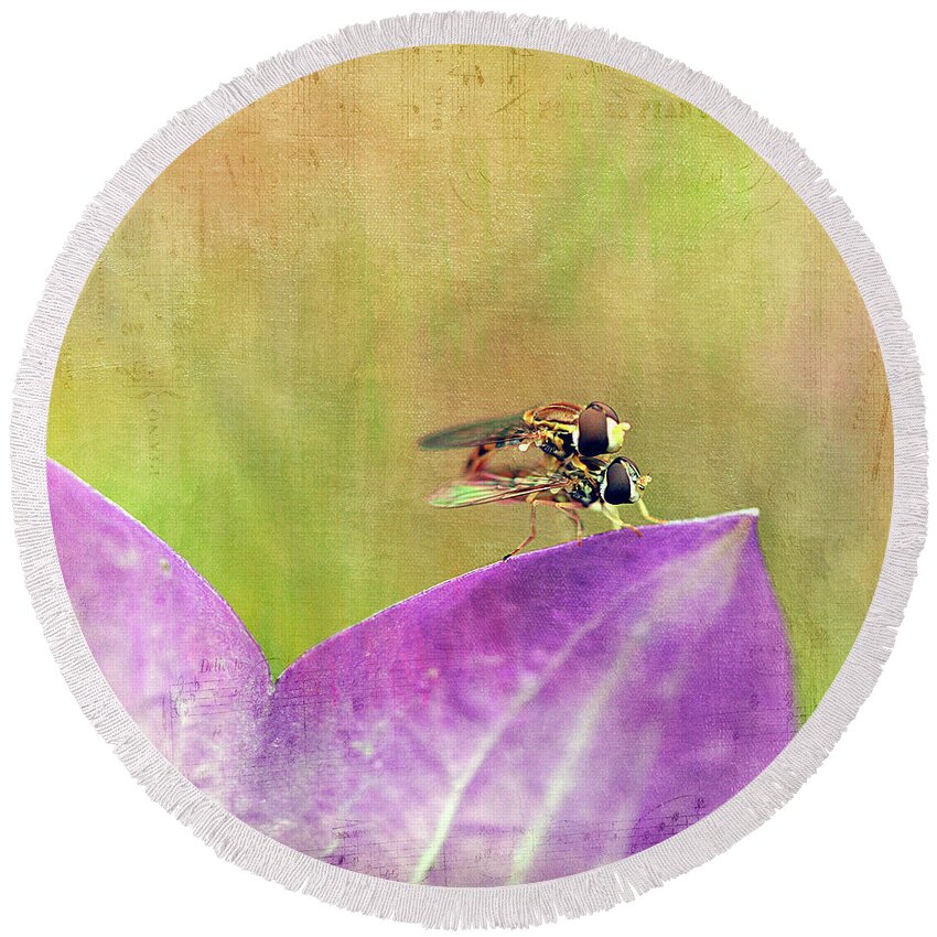 Cindi Ressler Round Beach Towel featuring the photograph The Dance of the Hoverfly by Cindi Ressler