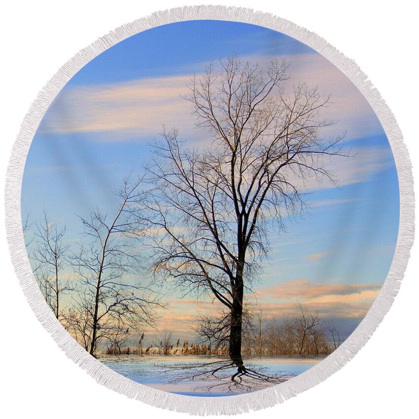 Blue Round Beach Towel featuring the photograph The Delight by Elfriede Fulda
