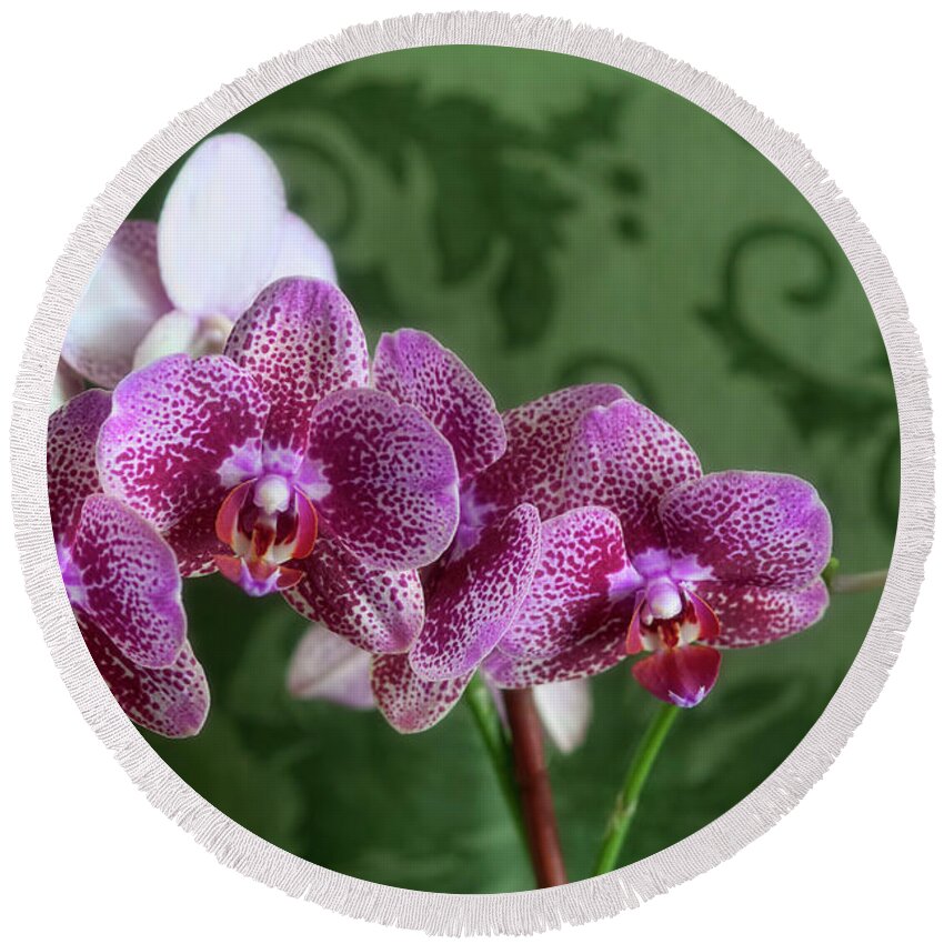 Orchids Round Beach Towel featuring the photograph The Depth of Purple by Joan Bertucci