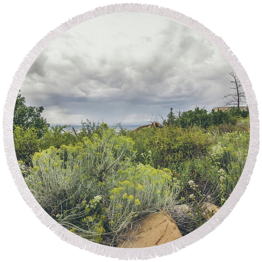 Landscape Round Beach Towel featuring the photograph The Desert Comes Alive by Margaret Pitcher