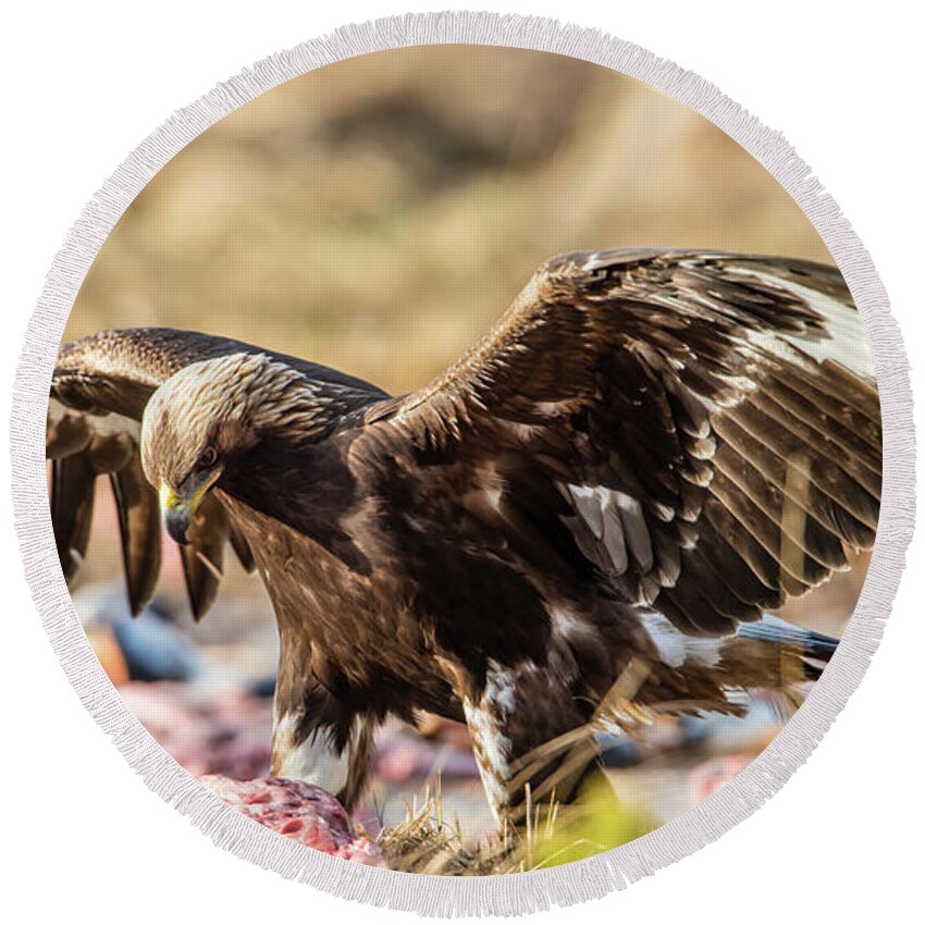 Golden Eagle Round Beach Towel featuring the photograph The Eagle have come down by Torbjorn Swenelius