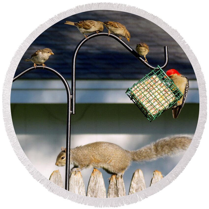 Birds Round Beach Towel featuring the photograph The Epitome of Patience and Sharing by Lori Lafargue