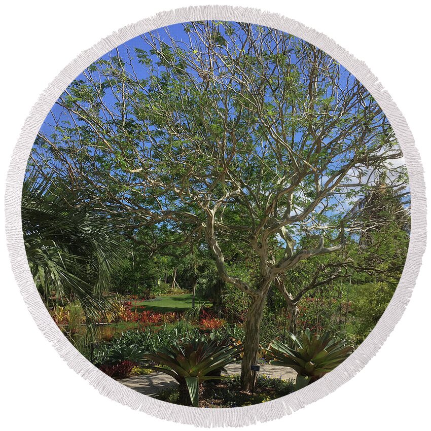 Tree Round Beach Towel featuring the photograph The Exotic Tree #1 by Susan Grunin