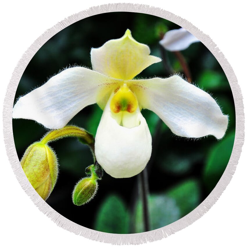 Orchid Round Beach Towel featuring the photograph The Flying Orchid by Andee Design