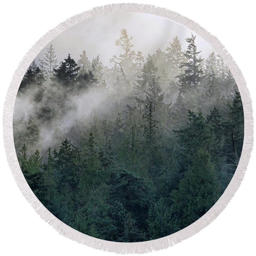 Trees Round Beach Towel featuring the photograph The Fog in the Trees by Rick Lawler