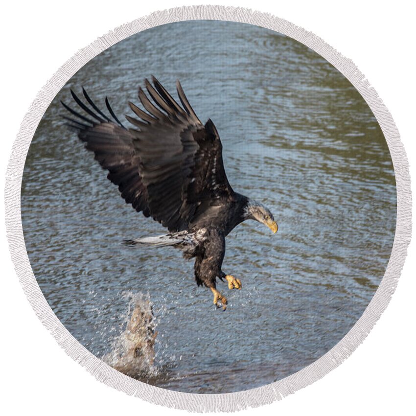 Eagle Round Beach Towel featuring the photograph the Get-a-Way by Rod Wiens