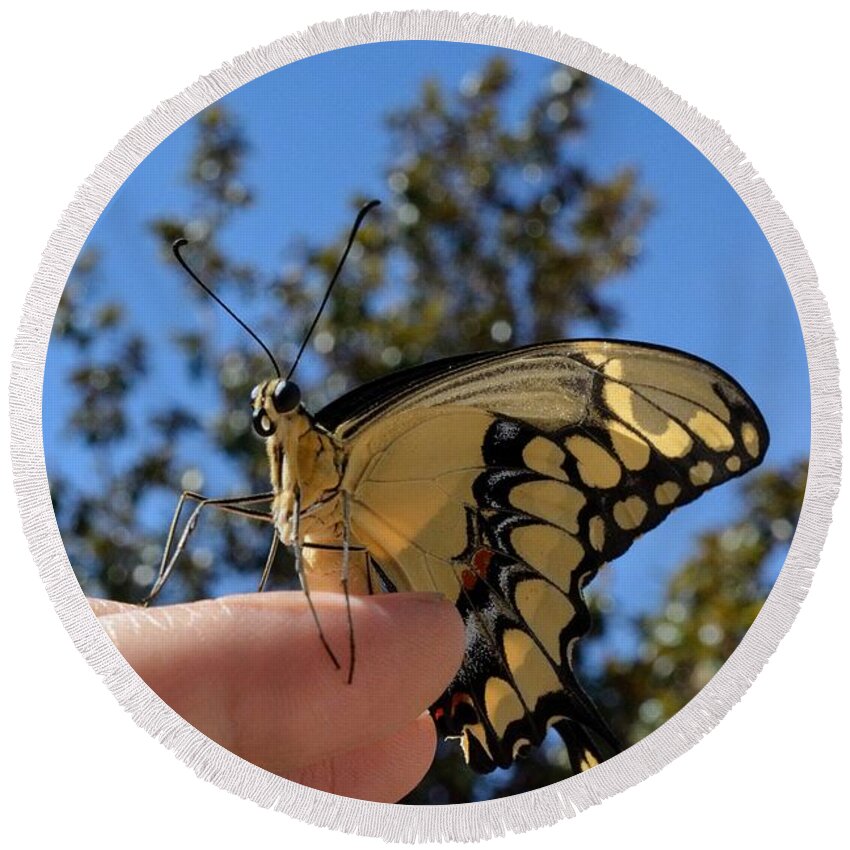 Butterfly Round Beach Towel featuring the photograph The Glorious Swallowtail by Leah McPhail